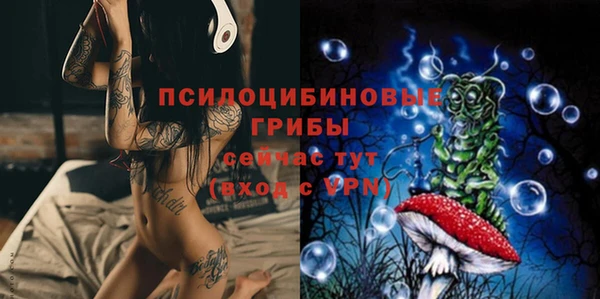 MDMA Premium VHQ Богородицк